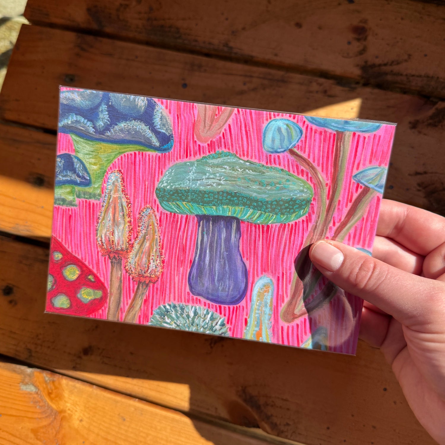5 x 7 Prints