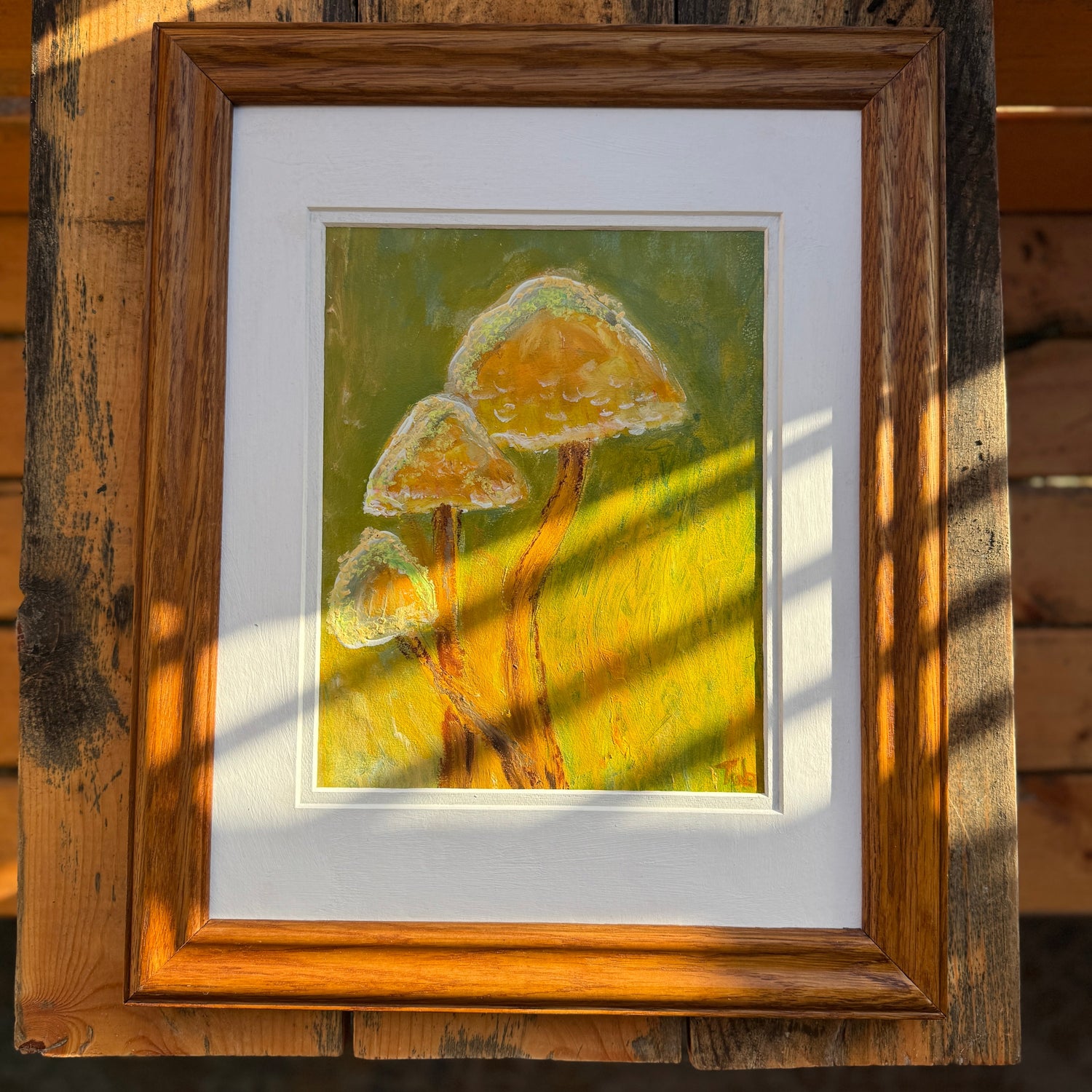 Mushrooms