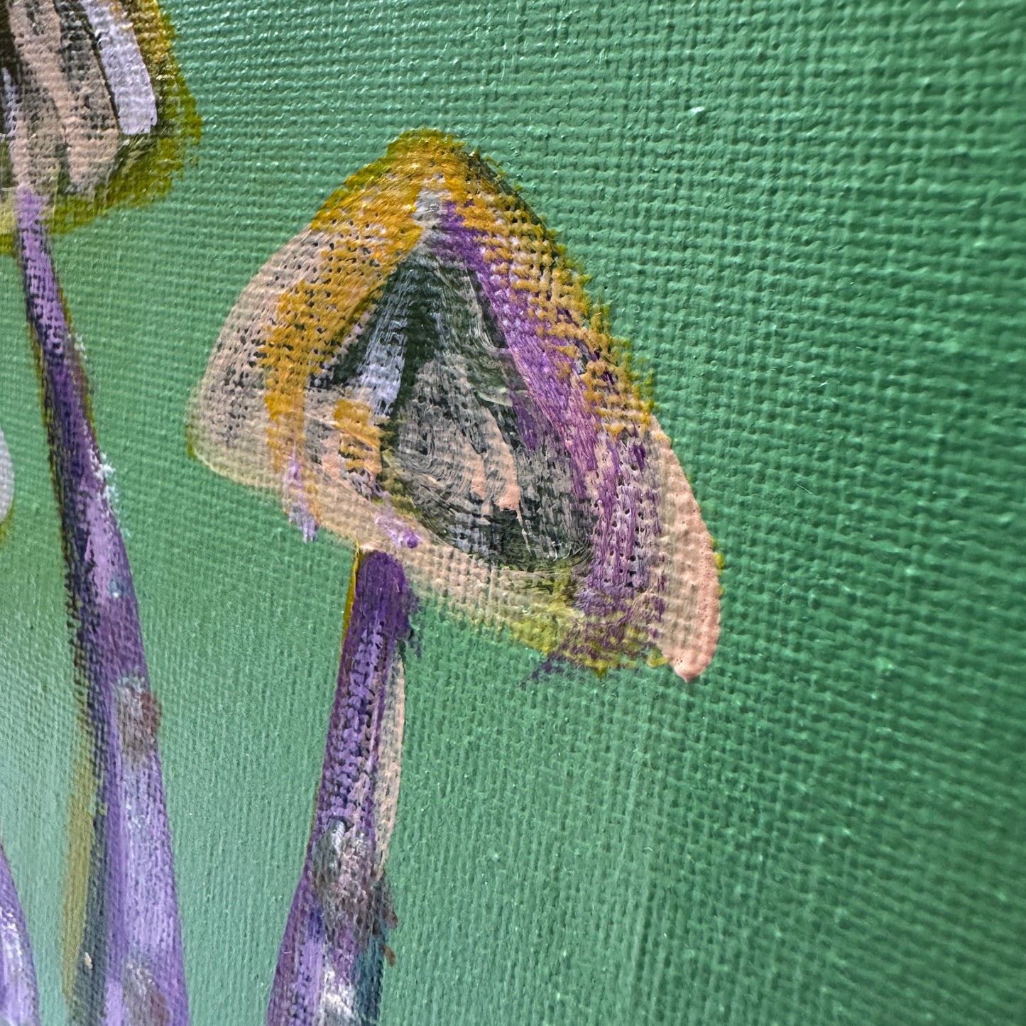 Fungi #6