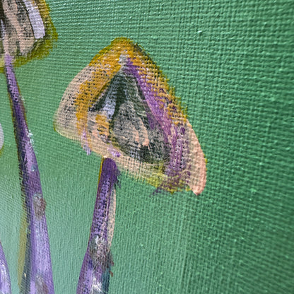 Fungi #6