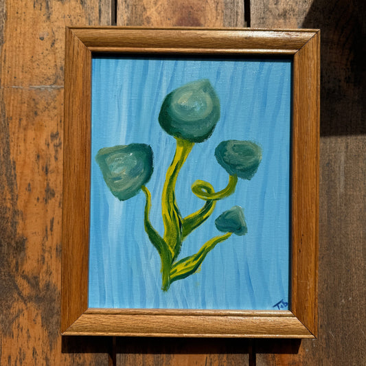 Fungi #4